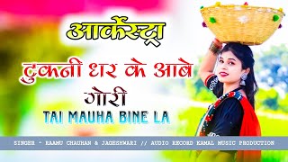 GAABO BASTARIHA GAANA  आर्केस्ट्रा CG ARKESTRA SONG  SINGER RAAMU CHAUHAN 91659 97338 [upl. by Lehcsreh]