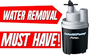 Flooded Basement Water Removal and Clean up Easy Pump [upl. by Rance]