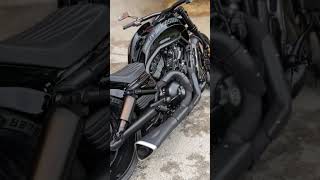 HD HARLEY DAVIDSON CUSTOM MODIFIED VROAD harleydavidsonpeople vroad harleydavidson shorts [upl. by Gnauq]