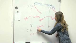 Acetyl COA Formation [upl. by Marga]