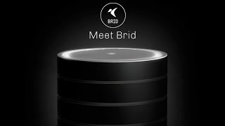 BRID Air Purifier  Revolutionary Air Cleaner With Nanotechnology [upl. by Pussej]