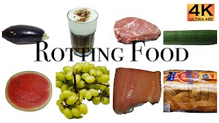 Rotting Food Compilation  Time Lapse  4K [upl. by Namsu295]