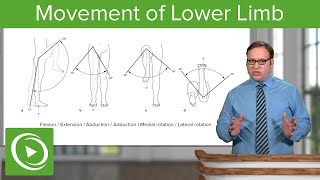 Lower Limb Movements of the Hip Knee and Ankle Joint – Anatomy  Lecturio [upl. by Orian]