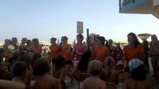 Flash sigla ANEMOS 2012mp4 [upl. by Sink]