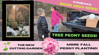 MORE FALL PLANTING  KINSMAN NEWS MOON ARCH  PLANTING TREE PEONY SEEDS  SCARIFYING SEEDS [upl. by Kihtrak631]