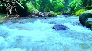 Mountain River Waterfall Flowing 247 Water Sounds Nature White Noise River Sounds for Sleeping [upl. by Ahsinelg]