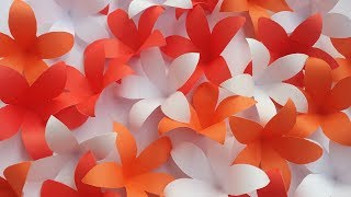 DIY DoorWindow CurtainPorda How to Make Beautiful Paper Flower Hanging for HomeRoom Decoration [upl. by Ardnat]