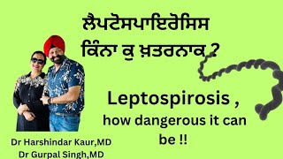 Leptospirosis how dangerous ਕਿੰਨਾ ਖ਼ਤਰਨਾਕ ਹੈ ਲੈਪਟੋਸਪਾਇਰੋਸਿਸ 189 [upl. by Arbua579]