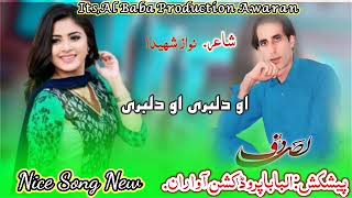 dilbari dilbari ll Dilsaf llnew balochi song llpoet nawaz sheeda ll 2024 ll [upl. by Atin]