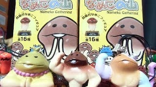 Nameko Gathering 海洋堂特産品なめこの山 「マッスルなめこを狙え！アゲイン☆」 PART2 食玩 開封動画 [upl. by Ennis]