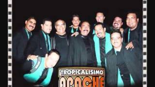 TROPICALISIMO APACHE LICO LICOR EN VIVO [upl. by Aitel]