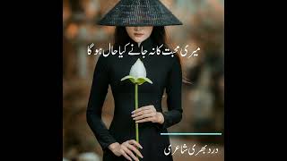 Meri Muhabbat Ka Jany Kia Hall Ho Ga I Best Urdu Poetry amp Inspirations I Slickers DIARY [upl. by Aleka]