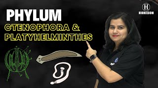 Phylum Ctenophora amp Platyhelminthes neet2024  Biology  Shraddha srivastava  Horizon Academy [upl. by Cardwell]