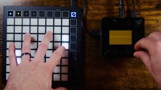 Monome Norns Shield  Launchpad Llll script [upl. by Lebatsirhc]