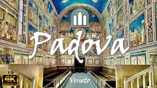 PADUA Padova – Italy 🇮🇹 4K video [upl. by Sugar]