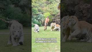 Un uomo è cresciuto con gli animali selvatici [upl. by Saibot538]