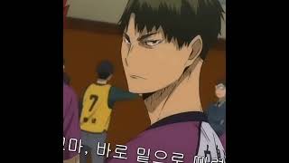 Shiratorizawa edit shiratorizawa ushijimawakatoshi semieita haikyuu edit [upl. by Gnaoh896]