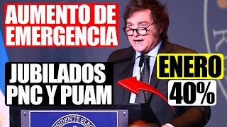 💸Milei en Enero❗ “Aumento de Emergencia” para Jubilados PNC y PUAM y Cambios en ANSES 2024 [upl. by Nela564]