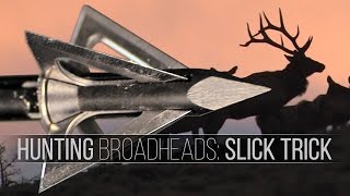 Slick Trick Four Blade Broadhead  Penetration Test [upl. by Aerdnna]