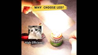 LED vs Halogen Bulbs How Hot Are They carledlights ledheadlights [upl. by Jessamine394]