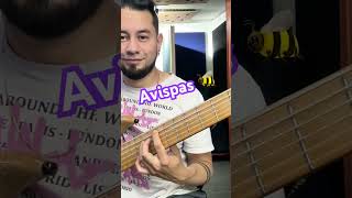 AVISPAS 🐝 COVER BASS 🎸🎶 [upl. by Florian107]