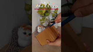 💌 Meesho cutest home decor planter santushtipurohit4743 meeshohaul meeshofinds cutehomedecor [upl. by Aztinay]