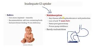 2 Microcytic Anemia صغيرة على حب الهيموجلوبين [upl. by Newcomer]