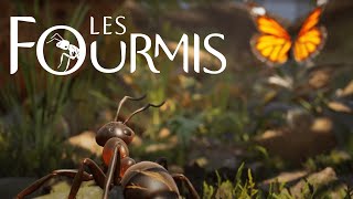 Les Fourmis FR Stratégie Survie et Batailles Épiques dans la Forêt 🐜🦋 [upl. by Kermit]