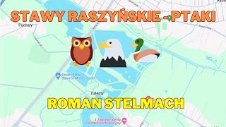 Rezerwat Stawy Raszyńskie  ptaki cz 1 [upl. by Eikcim]