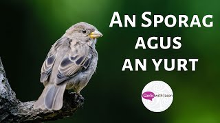 An Sporag agus an Yurt Intermediate [upl. by Adamok]