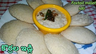 Korralu Idli  Foxtail Millet Idli  How to make Millets Idli  Millets Idli Korralu Idli in Telugu [upl. by Crelin]