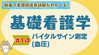 『基礎看護学 14』バイタルサイン測定血圧 【看護学生向け看護師国家試験講座】 [upl. by Airamat]