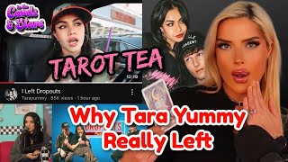 Breaking News Livestream Tarot TEA Quickie Tara Yummy Left Dropouts [upl. by Yanad243]