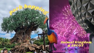 PARK HOPPING ON THE DCP  Animal Kingdom amp EPCOT [upl. by Sanyu]