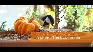 Schöne Herbstferien [upl. by Grier]