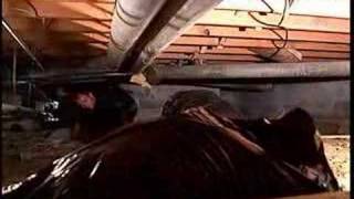 crawlspace encapsulation vapor barrier no more mold [upl. by Forrest530]