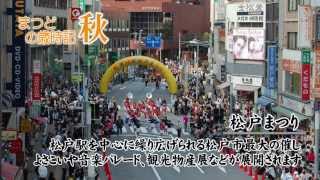 松戸の秋（松戸まつり～南部市場祭～本土寺の紅葉） [upl. by Aniham]