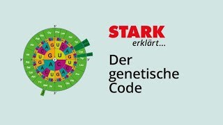 Der Genetische Code  STARK erklärt [upl. by Thomasine712]