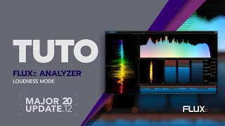 Loudness Mode with the FLUX Analyzer [upl. by Chitkara671]