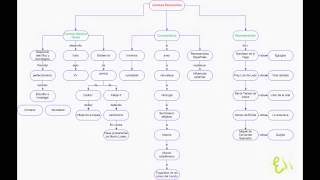 Literatura renacentista MAPA CONCEPTUAL [upl. by Leveridge]