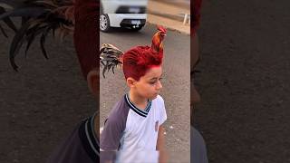 Man transforms into a real Rooster 🐓 in AGT Americas got talent 😱😂 Duo SchumacherAGTmagic [upl. by Mosier]