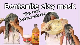 THIS CLAY MASK WILL CHANGE YOUR HAIR  Bentonite clay mask  Apple cider vinegar  Hair detox [upl. by Aihpled]