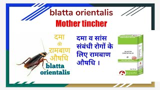 ब्लाटा ओरिएंटेलिस दमा सांस लेने में कठिनाई और खांसी की होम्योपैथिक औषधि Blatta orientalis [upl. by Nabala]