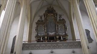 Salchegger Andiblind spielt die Orgel der StNikolauskirche in Neuötting am 1092000 [upl. by Peednam473]