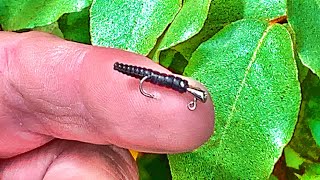 Crappie Fishing From The Bank With A Microscopic Jig [upl. by Seafowl]