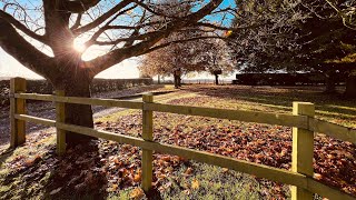 Walking at Cotswolds in Autumn beautiful and peaceful [upl. by Adaner703]