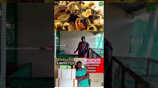 IncubatorReelsManufacturingTrending Agriculture Vivasayam tamilreelstrending [upl. by Crifasi]