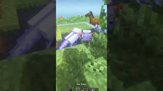 Minecraft Mini plains biome minecraft building minecraftbuilding [upl. by Becket280]