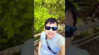 Chaubandima xitko gunyu nidharama tika 😻🙉😜 song shorttrending krahangchuvlog nepaliinjapan [upl. by Woodford749]