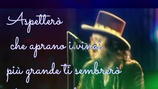 diamante zucchero con testo Live in Verona [upl. by Dnaltroc]